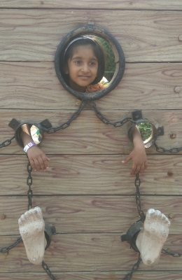 পিকনিক 2014